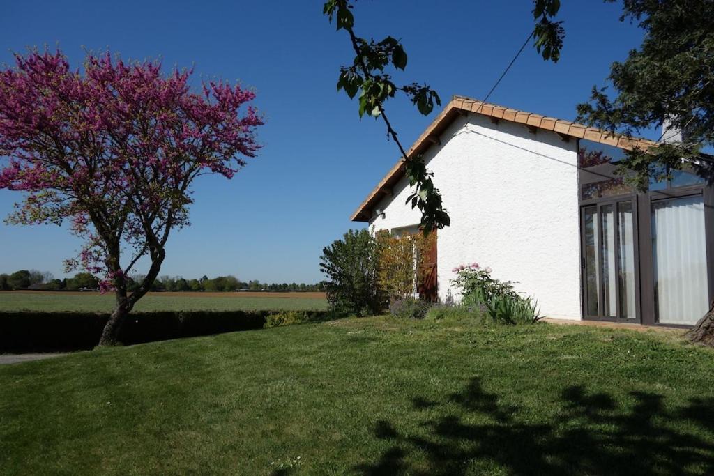 Villa A Proximite Du Futuroscope Et Des Marais Poitevin Rouille Exterior foto